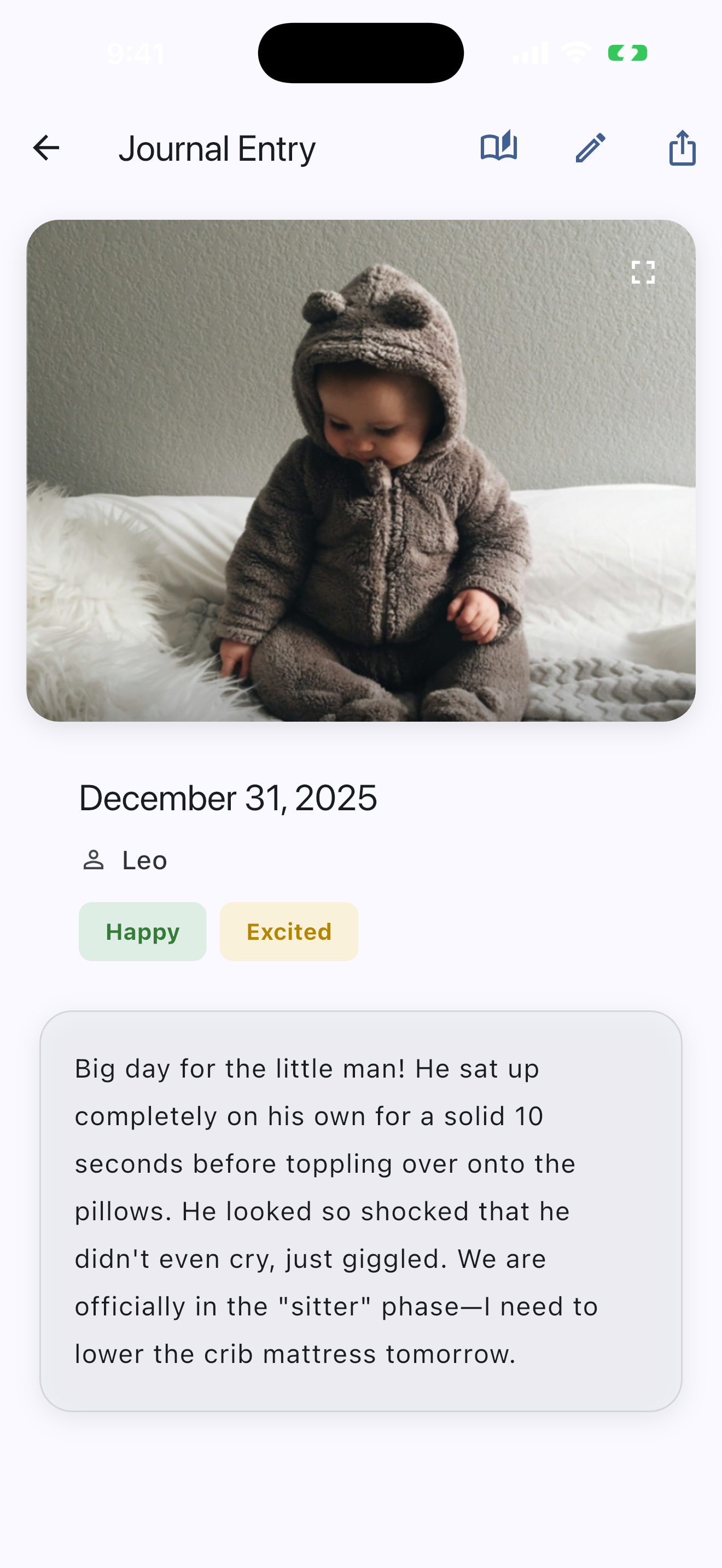 Journal Entry Detail